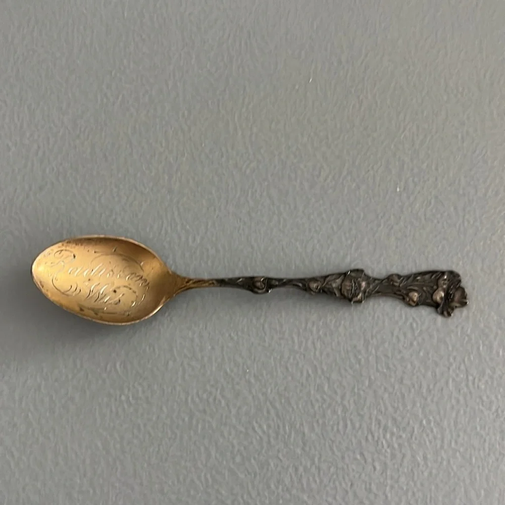 Antique Radisson Wisconsin Souvenir Spoon Floral Silverplate Grand Silver Co